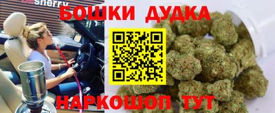 крисы Будённовск
