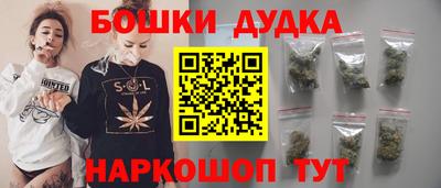 крисы Будённовск