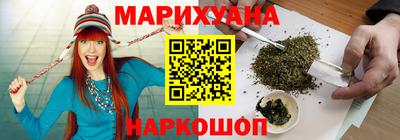 крисы Будённовск
