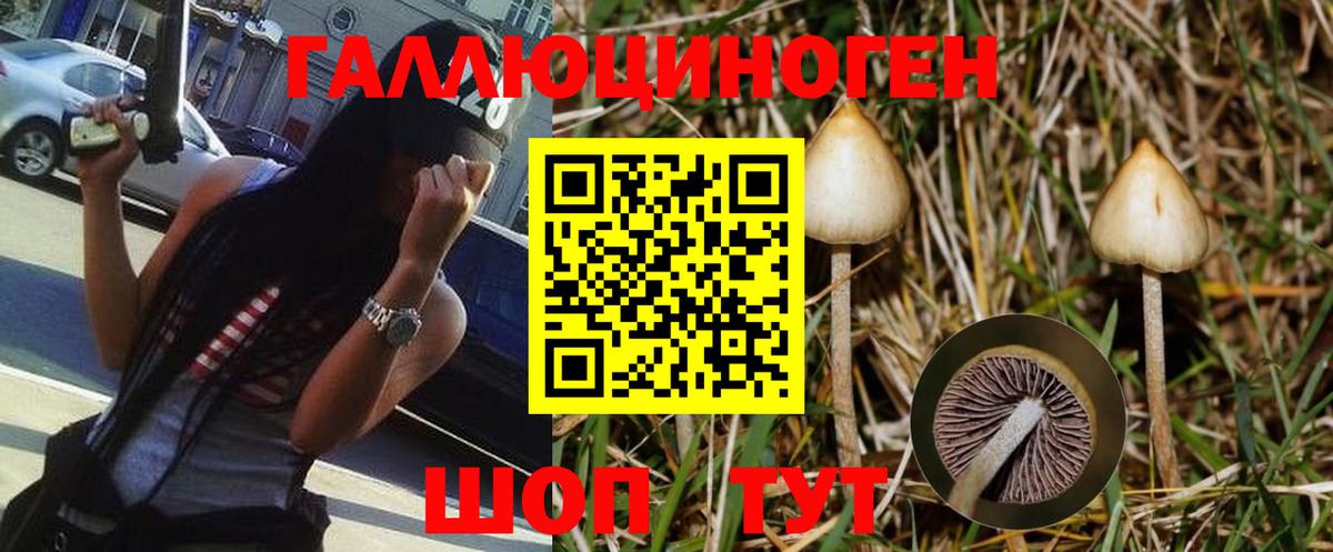 Галлюциногенные грибы мицелий Ртищево