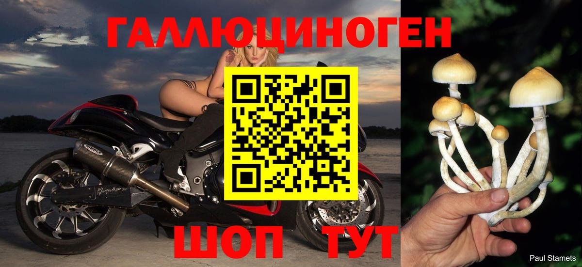 цены наркотик  Вход с VPN  Ртищево  Псилоцибиновые грибы мицелий 